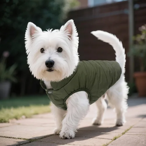 Vista 7 de ASENKU Abrigo de invierno para perro, resistente al viento, chaqueta de forro polar impermeable, ropa para mascotas para perros pequeños, medianos