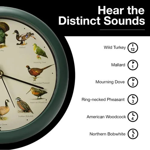 Vista 5 de Mark Feldstein, reloj cantando aves de caza salvaje de América del Norte, 8 pulgadas, verde