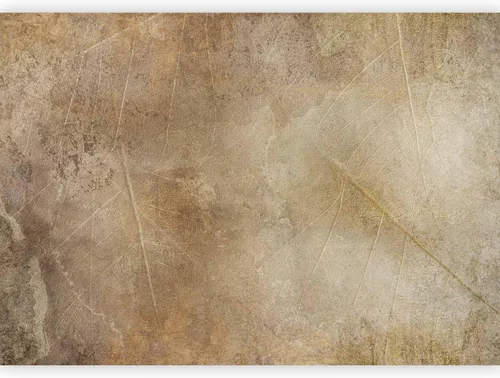 Vista 10 de artgeist Mural de pared Flores Whitee de 79 x 55 pulgadas, papel tapiz no tejido XXL, decoración de pared de vellón, impresión fotográfica, diseño