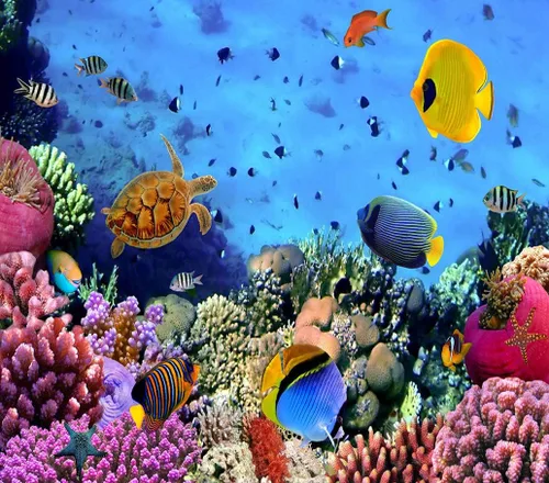 Vista 2 de Kit de pintura de diamantes 5D para bricolaje, colonia de coral, mar rojo, Egipto, peces, acuario, caribeño, 12 x 16 pulgadas, para adultos