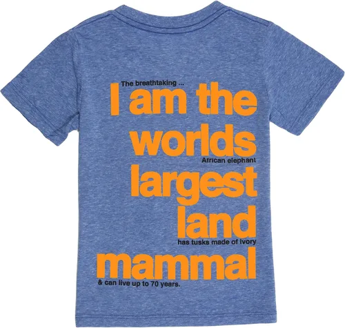 Vista 2 de Peek-A-Zoo Animal Facts - Camisetas súper suaves de manga corta, triblend juvenil, tallas 4-12