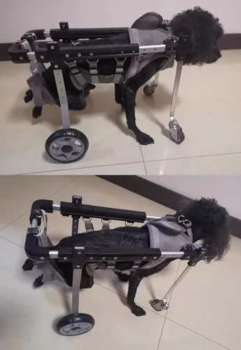 Vista 2 de 4-Wheel Dog Wheelchair for Small & Large Dogs, Adjustable Full Support Pet Leg Braces, Disabled Dog Mobility Aid, Soft Rehabilitation Cart for Cats