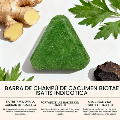 Vista 3 de Soelegant Nature Triangle Barra de champú, barra de champú verde, fórmula Polygonum Multiflorum, fórmula de limpieza profunda y nutritiva, fortalece