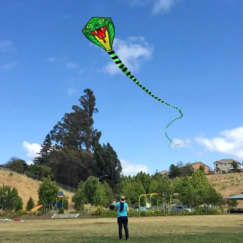 Vista 5 de HENGDA KITE Cometas de serpiente de gran potencia con línea voladora Cometa deportiva divertida al aire libre