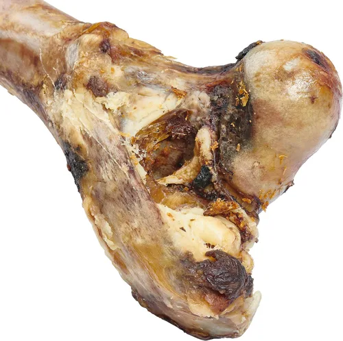 Vista 5 de EcoKind Hueso de fémur gigante para perros 1 hueso Huesos de perro de mamut de larga duración para masticadores agresivos, golosinas saludables