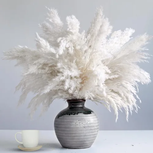 Vista 8 de Zacate de las Pampas Negro para Decoración del Hogar - Elegante Decoración Boho - Tallos de Alta Calidad de Zacate de las Pampas - Perfecto