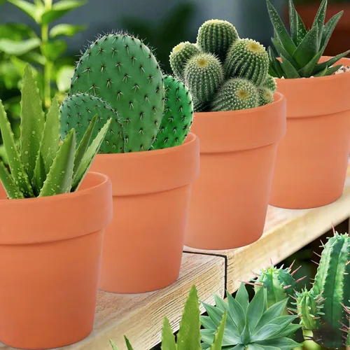 Vista 6 de Paquete de 26 macetas pequeñas de arcilla terracota de 3 pulgadas con orificio de drenaje, maceta de terracota para plantas de interior y exterior
