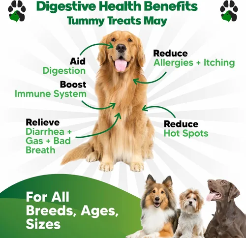 Vista 2 de Probióticos para perros - Masticables para la salud digestiva con prebióticos y enzimas Suplemento probiótico para perros para el intestino