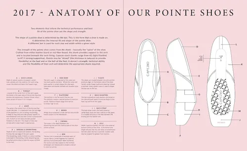 Vista 7 de Capezio Zapato Pointe 176 Contempora para mujer