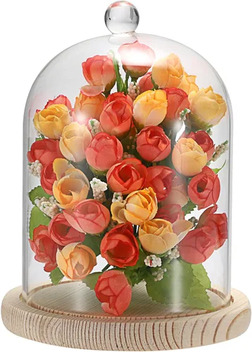 Vista 10 de JUXYES Cúpula de cristal con base de madera, cúpula de cristal transparente, cúpula de cristal transparente, tarro esférico, kit de globos de nieve