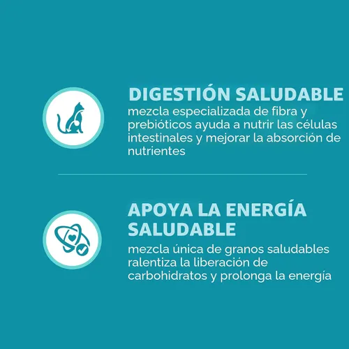 Vista 4 de Iams Proactive Health Adult Indoor Weight & Hairball Control Comida seca para gatos Vet-recommended, Real Chicken #1 Ingredient, Proprietary Fiber