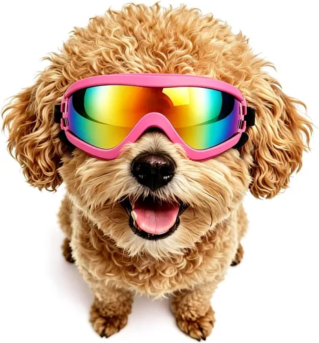 Vista 17 de Antiparras anteojos de sol para gatos o perros pequeños, Negro Negro clásico