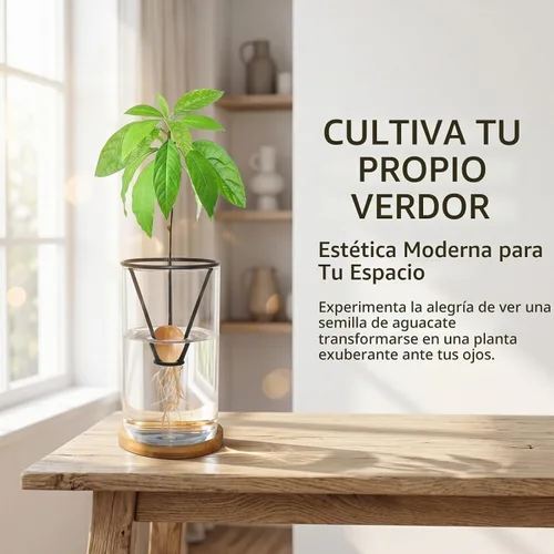 Vista 7 de Kit de cultivo de árbol de aguacate con cepillo para botellas, figura de aguacate, base de bambú, jarrón de iniciación de semillas de aguacate