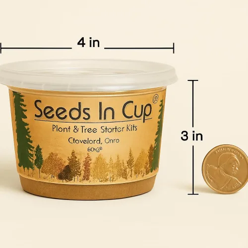 Vista 3 de Semillas en una taza - Kit de cultivo de plantas (espárragos)