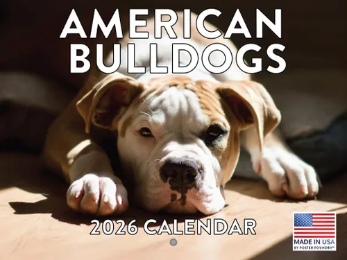 Vista 63 de Calendario mensual de pared Airedale Terrier Dog 2027 rojo (Airedale Terrier)