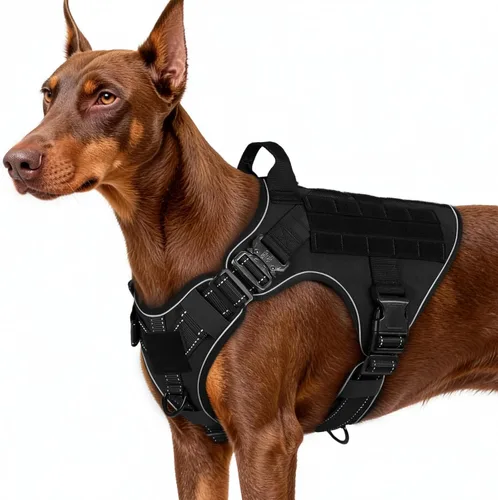 Vista 17 de rabbitgoo - Arnés táctico para perros pequeños, arnés resistente para mascotas con asa, chaleco de servicio sin tirones para razas pequeñas, chaleco
