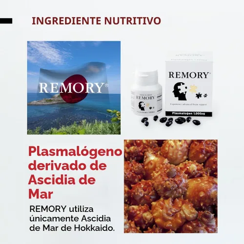 Vista 5 de Suplemento de Plasmalógeno REMORY de Ascidia de Mar - Suplemento para la Salud Cerebral - Suministro de 30 Días