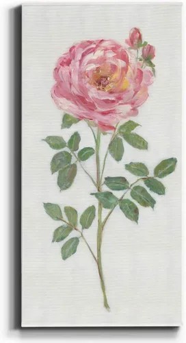 Vista 45 de Renditions Gallery Master Botanical II - Arte de pared, decoración en lienzo de alta calidad con envoltura de galería, listo para colgar, 16