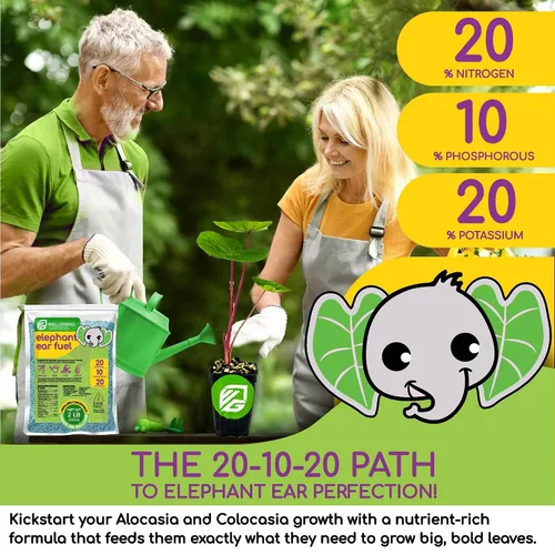 Vista 3 de Wellspring Gardens - Fertilizante para plantas de combustible para orejas de elefante, fórmula de alimentos vegetales para alocasias y colocasias