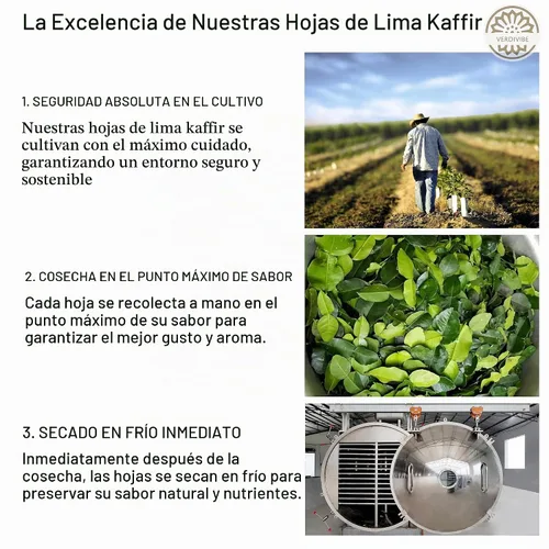 Vista 3 de Hojas de lima kaffir secas de alta calidad, paquete de 0.74 oz (21 g) para un auténtico sabor tailandés (B)