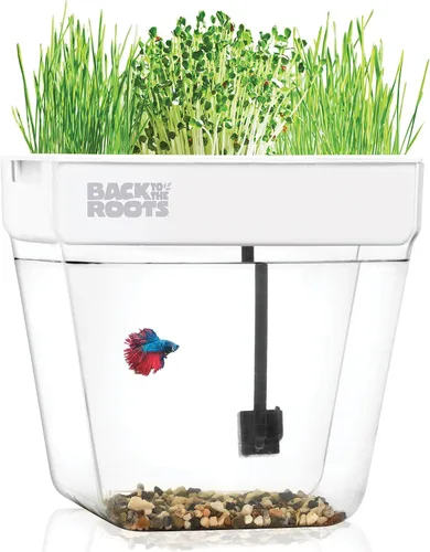 Vista 9 de Back to the Roots Kit de cultivo de riego automático, macetas hidropónicas de vidrio para suculentas y sistema de riego automático de cactus