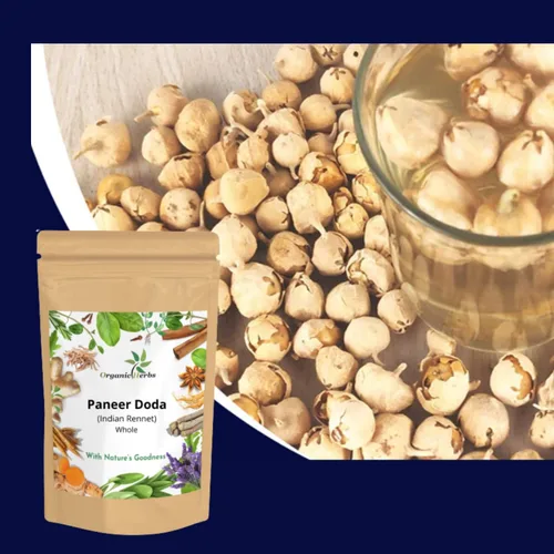 Vista 4 de Cuajo indio a base de hierbas ayurvédicas Paneer Doda Paneer ka Phool Withania Coagulan (Cuajo Indio, 2.2 lbs)