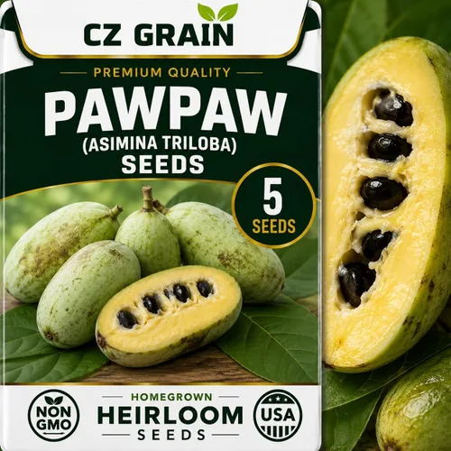Vista 54 de CZ Grain Semillas para plantar, 40 pequeñas mezclas de calabaza