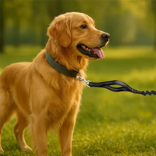 Vista 7 de Correa de perro manos libres para perros de hasta 130 libras – Correa elástica resistente que absorbe los golpes con bolsa de cremallera, asas