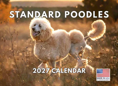 Vista 48 de Calendario mensual de pared Airedale Terrier Dog 2027