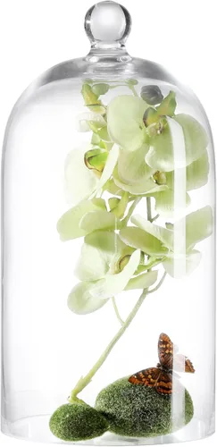 Vista 10 de KMwares Cúpula de cristal transparente, campana de campana para mesa, cubierta de plantas, alimentos (5.1 x 8.9 pulgadas)