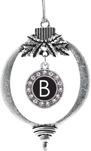 Vista 28 de Inspired Silver - Adorno de cromosoma 21 con dije de círculo de plata con joyas de circonita cúbica