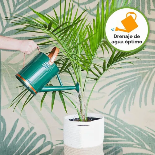Vista 5 de Perfect Plants - Suelo para plantas de interior, 4 cuartos de galón, mezcla para macetas de coco