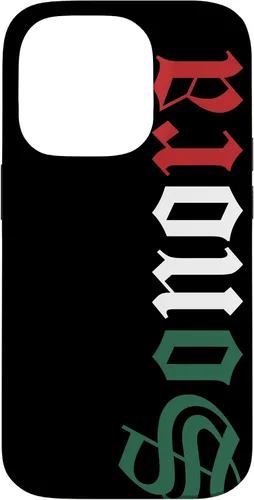 Vista 17 de Sonora Mexico Mexican Flag State Estado Case for iPhone 16