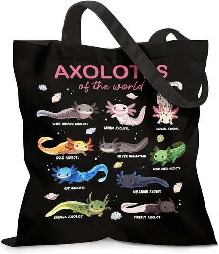 Vista 28 de Bolsa de lona estética para mujer, con cierre magnético a presión y bolsillo interior con cremallera, bolsa reutilizable