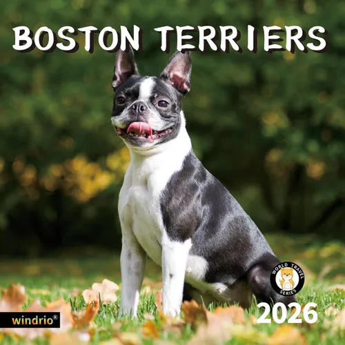 Vista 12 de Calendario de pared 2026, Calendario divertido 2026, noviembre de 2025 - diciembre de 2026, calendario de pared con memes divertidos de animales, 12