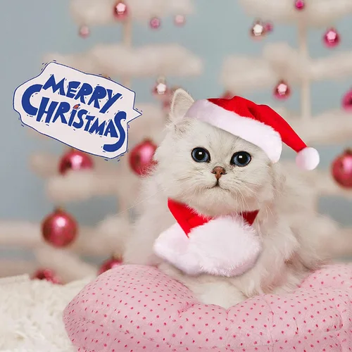 Vista 5 de Disfraz de Navidad para mascotas, perros pequeños, conejos, sombrero de gato de Papá Noel con bufanda roja, bufandas de sombrero de Navidad