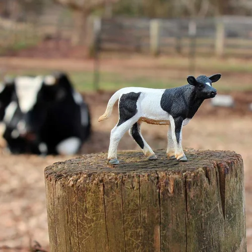 Vista 4 de Safari Ltd. Holstein Figura de ternero – Figura detallada de plástico de 3.25 pulgadas – Divertido juguete educativo para niños, niñas y niños a