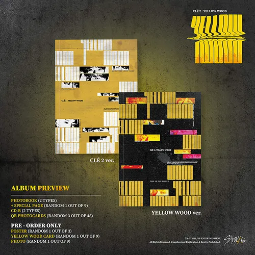 Vista 2 de STRAY KIDS Special Album - CLE 2 YELLOW WOOD Clé 2 ver CD Photobook 3 QR Photocards FREE GIFT