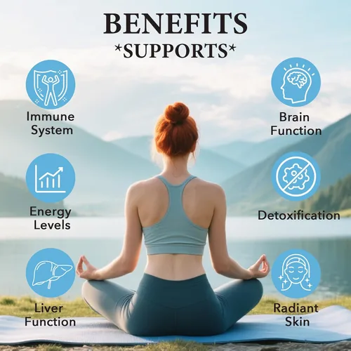 Vista 7 de Cápsulas blandas de glutatión liposomal, absorción mejorada, liberación liposomal, forma activa, L-glutatión, celular, función inmune