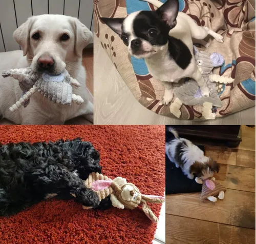 Vista 2 de Comtim Juguetes para perros sin relleno con chirriador, juguetes duraderos para masticar, perros pequeños y cachorros, conejo y elefante
