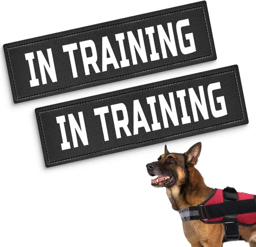 Vista 9 de NOYAL Parches de chaleco para perro, perro de servicio/en entrenamiento/apoyo emocional/perro de terapia/parches de poliuretano para no mascotas; 2