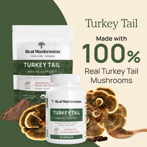 Vista 2 de Real Mushrooms Paquete de apoyo inmunológico, cognición y aumento del rendimiento, extracto orgánico de cola de pavo en polvo (1.59 oz) Melena