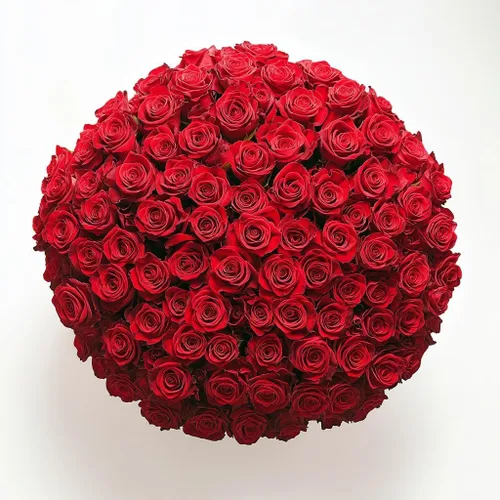 Vista 30 de GlobalRose Ramo de 50 rosas surtidas, rosas de origen responsable, flores frescas, ramo fresco de flores seleccionadas a mano para el día