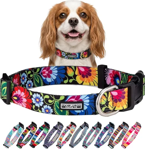 Vista 99 de Lucky Love Dog - Collar para perras pequeñas, diseño Blackbird de estampado alegre con flores de primavera y verano, talla XS Collar Blackbird