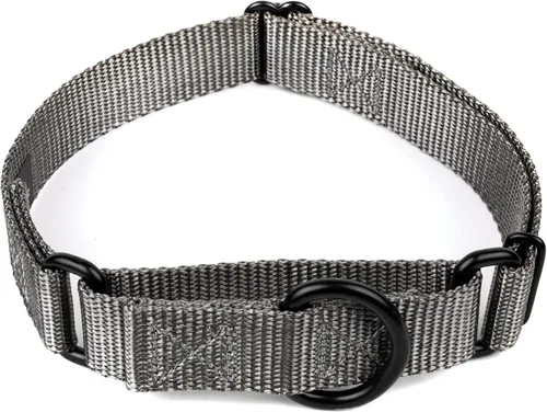 Vista 30 de Country Brook Petz - Collar Martingale para perro - Collar de entrenamiento resistente sin hebilla - Collar para perro de servicio para todas
