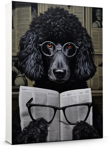 Vista 146 de Thuan Affenpinscher - Póster de lienzo con tus fotos, arte de pared para decoración del hogar, regalo conmemorativo para amantes de las mascotas