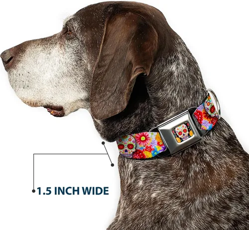 Vista 7 de Collar de perro hebilla de cinturón de seguridad Sugar Skull Starburst blanco multicolor 9 a 15 pulgadas 1.0 pulgadas de ancho
