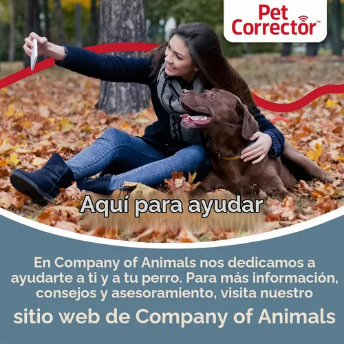 Vista 5 de Pet Corrector