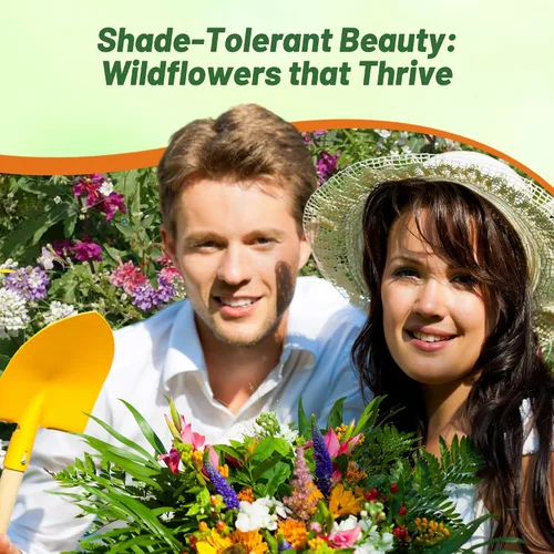 Vista 6 de Outsidepride Mezcla de semillas de flores silvestres de sombra parcial para todos los estados, mezcla premium de flores silvestres anuales