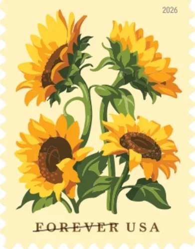 Vista 6 de Girasoles 2026 (Libro de 20) Flores First-Class Mail Forever Sellos postales